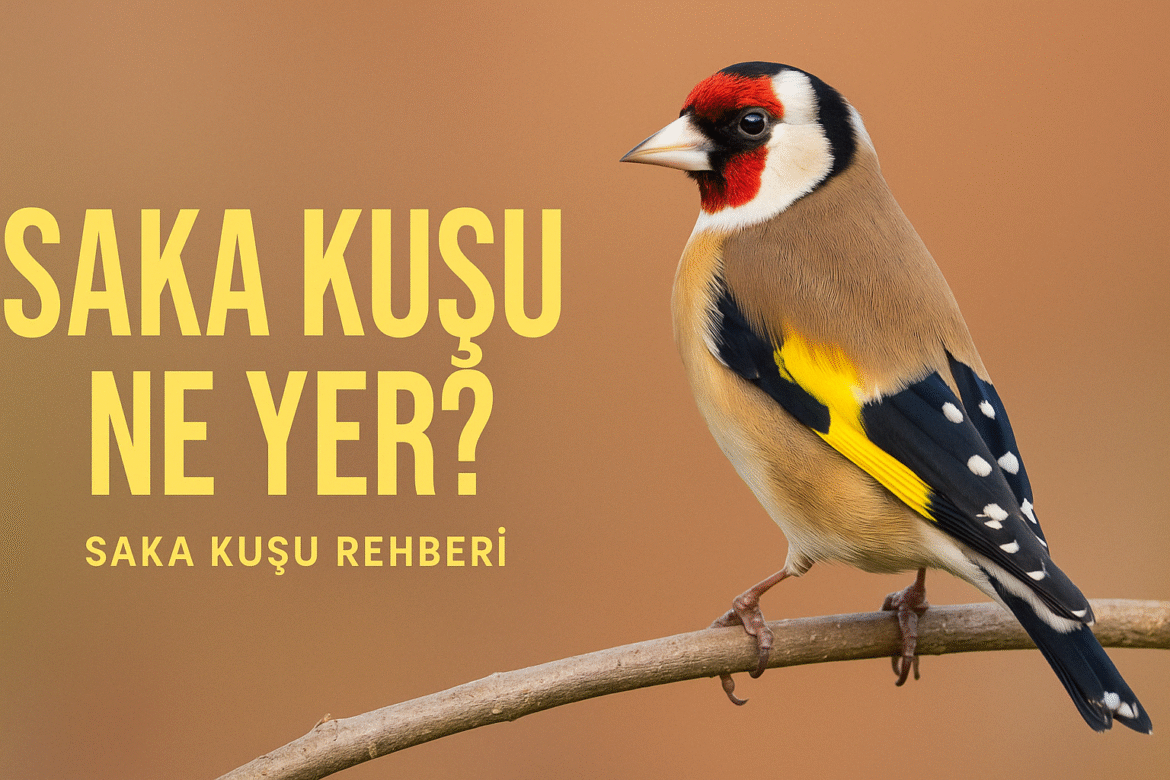 Saka Kuşu Ne Yer