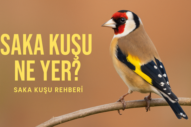 Saka Kuşu Ne Yer