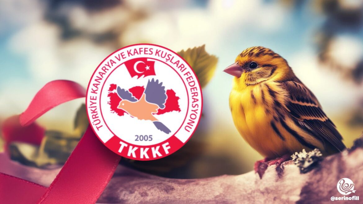 Serinofil Kanarya Sevenler Dernekleri